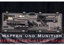 Steyr HS .50 M1
