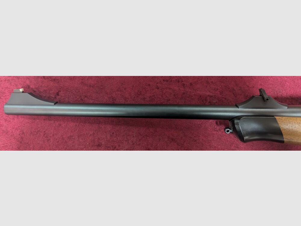 Blaser R8