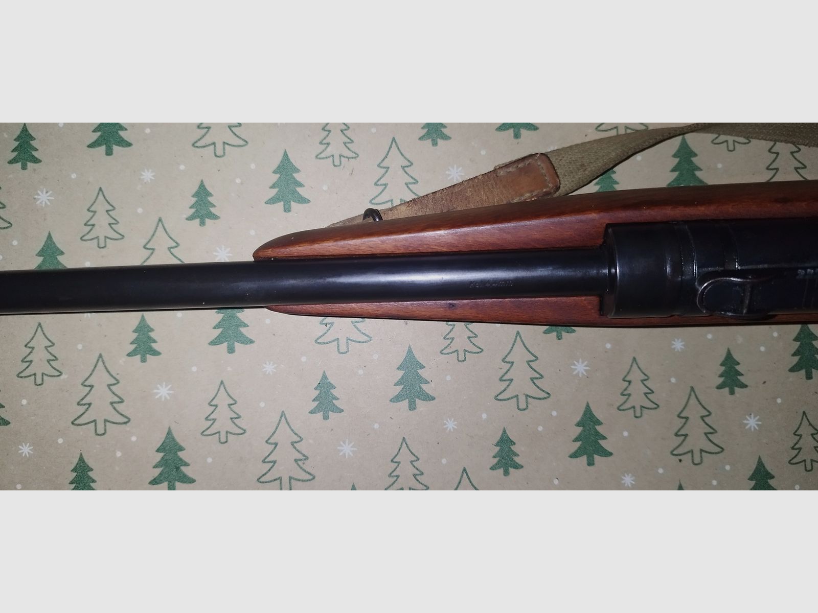 Wunderschöne Haenel 310 top Zustand