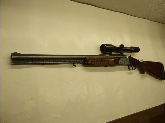 Sabattii met ZF SWAROVSKI 6x42 kruis 1