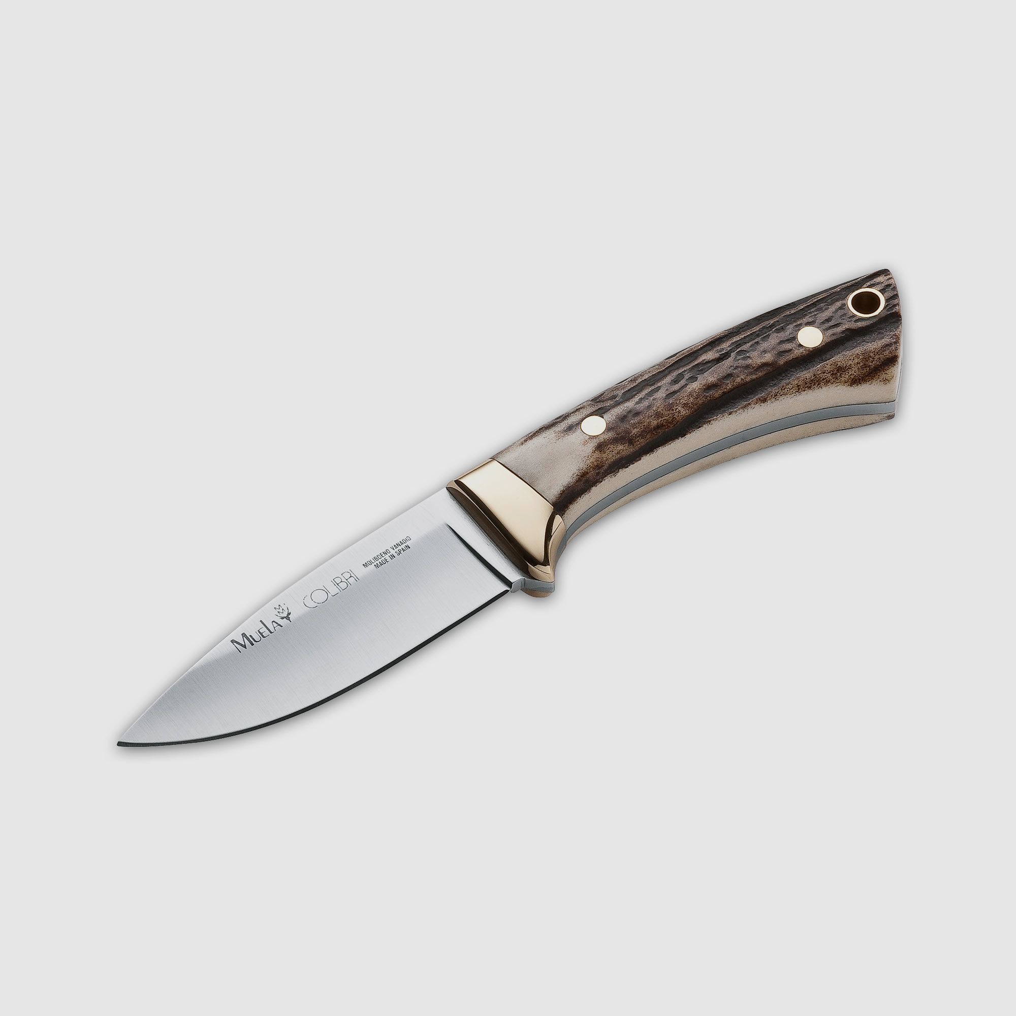 MUELA COLIBRI STAG Jagdmesser mit Horngriff und edler Lederscheide