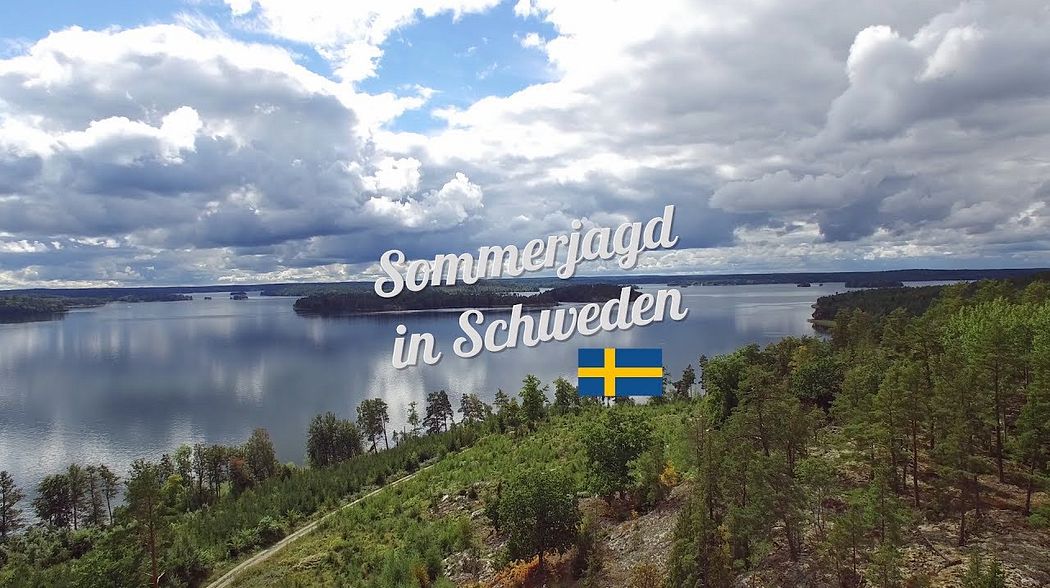 Sommerjagd in Schweden