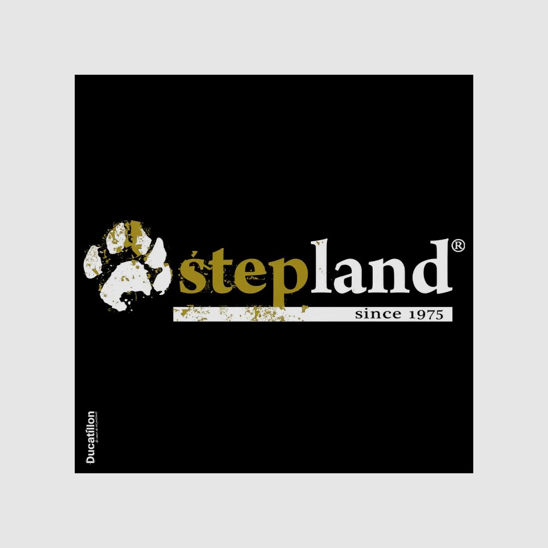 Cintura regolabile kaki Stepland – taglie S/M, immagine 6 di 6