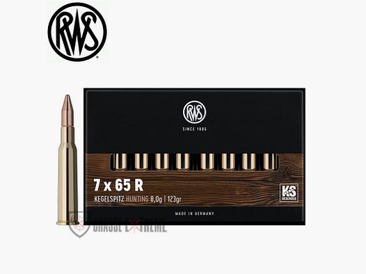 20 Nabojów RWS kal. 7X65R 123gr KS