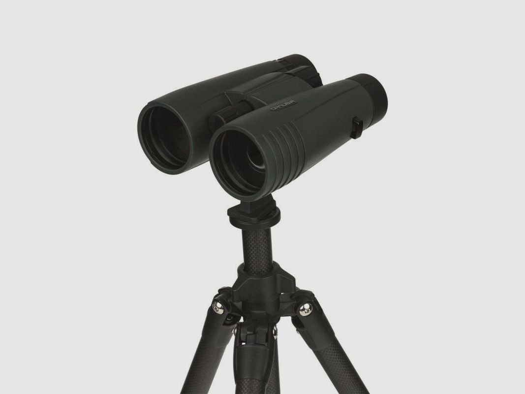 Dörr Fernglas Bussard I 8x56 grün