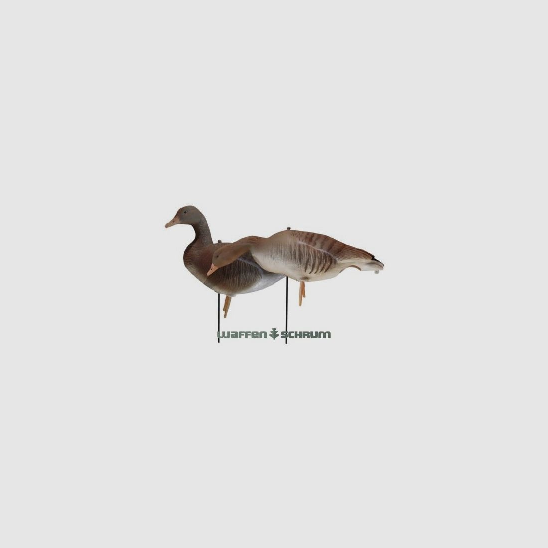 JVS Global Outdoor Decoys Grey Goose Full Body 6 Pack Flocked