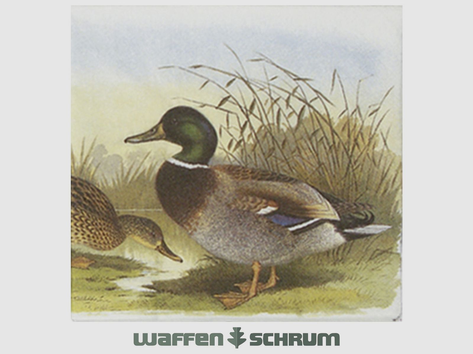 Fritzmann Servietten Ente