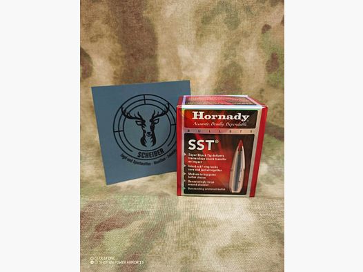 Hornady bullets .323 11.0g/170grs. SST