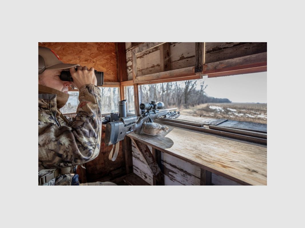 B14 HMR, image 6 sur 6
