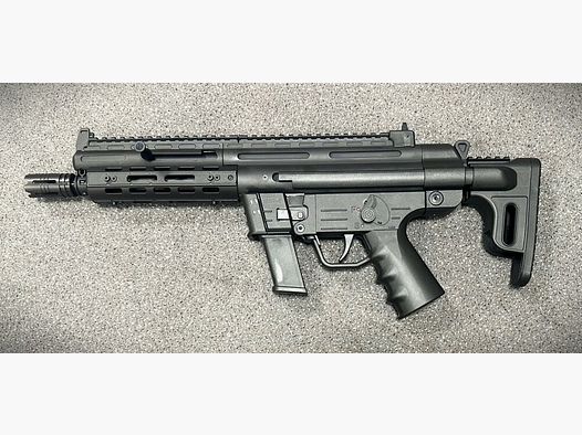 GSG	 GSG-9