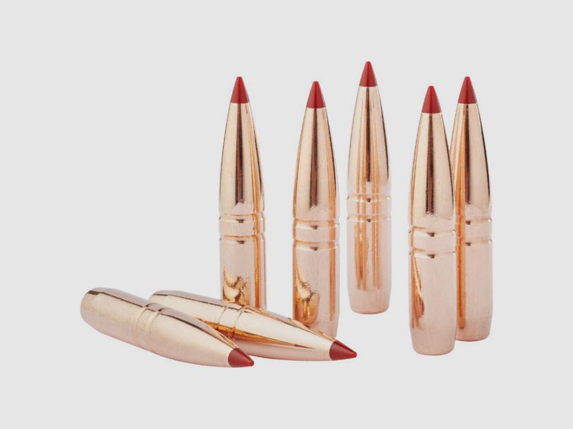 Hornady CX .25/.257 50 Stk., Bild 1 von 3