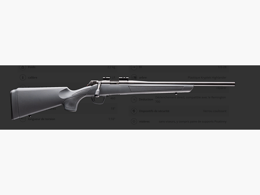 Rimfire Basic