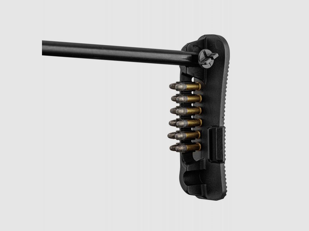 CHIAPPA LITTLE BADGER XTREM 22LR, image 6 sur 10