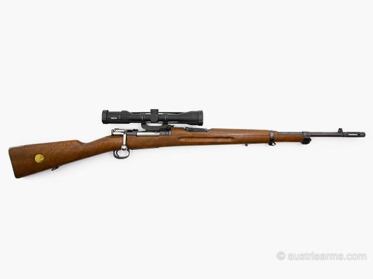 Schwedenmauser kurz mit ZF und Timney Abzug, 6.5×55 mm