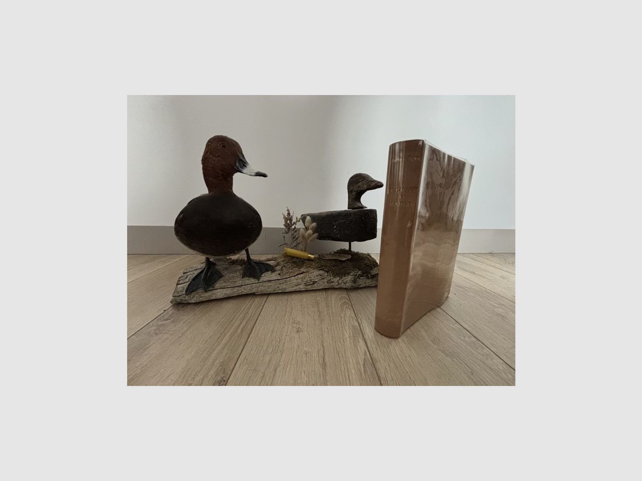 Buch Die Jagd im Sumpf - Charles Diguet, Bild 2 von 3