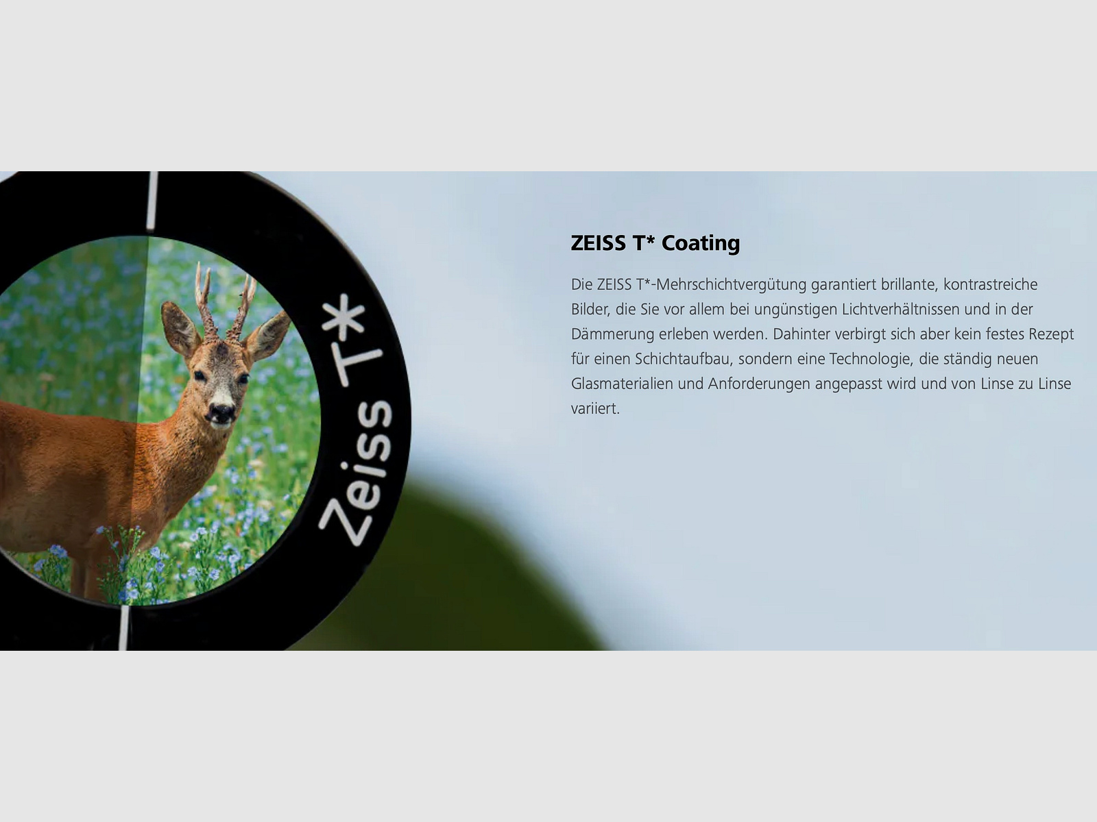 Aussteller ZEISS Conquest V6 2-12x50 M ill. Absehen 60 mit Zeiss Schiene Zielfernrohr LP