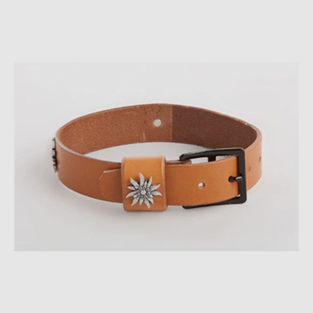 REINEKE Hundehalsband Original CH-Armee Ceinturon mit Edelweissbesatz