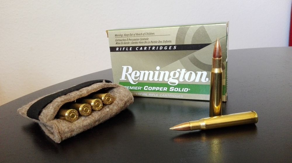 Testbericht bleifreie Munition Remington Copper solid aus der Blaser R8