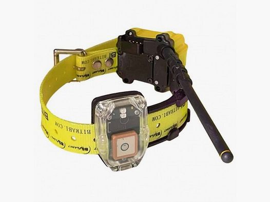 Radio- und GPS-Halsband für Jagdhunde MITO 5100 BITRABI