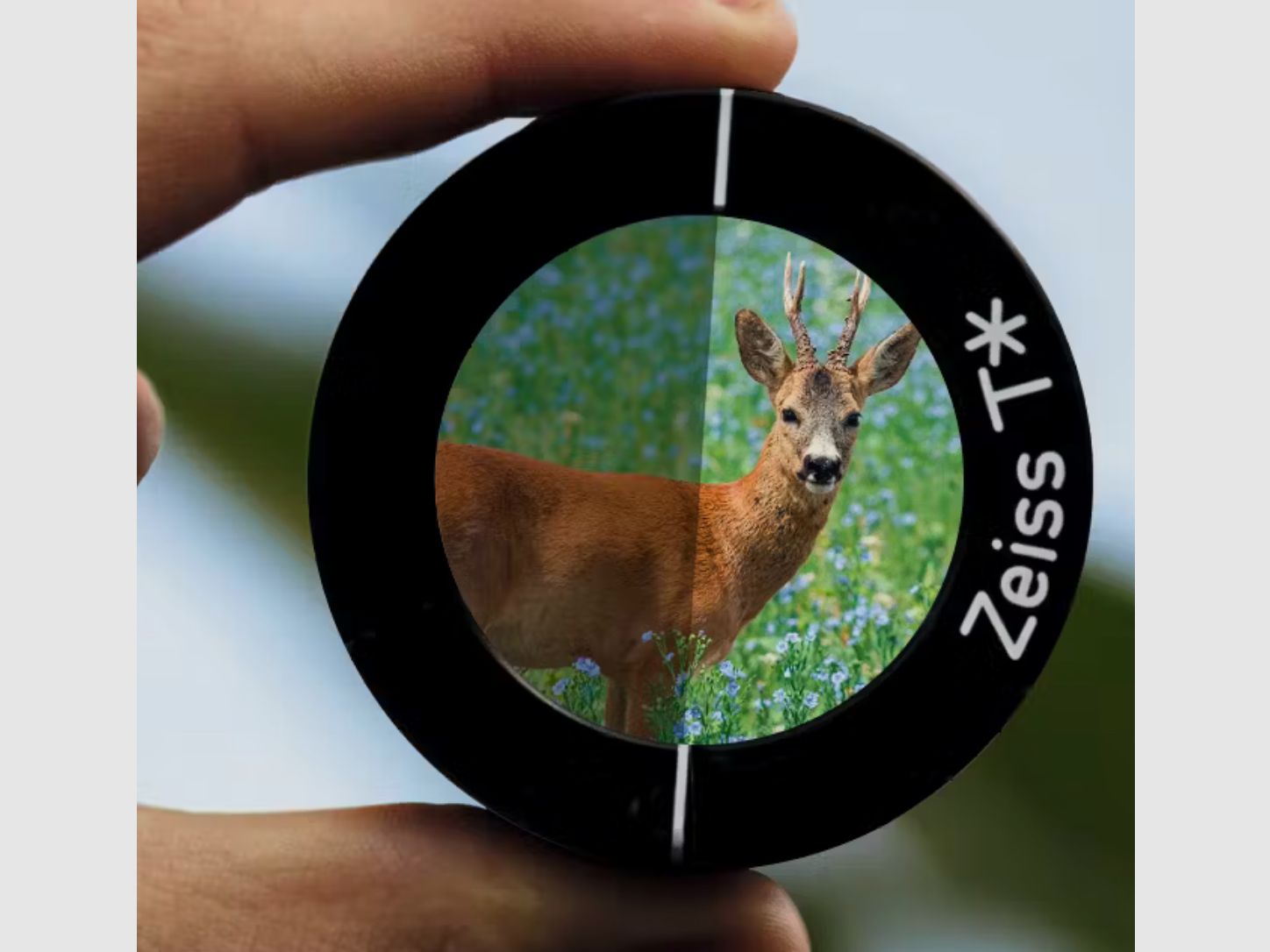 ZEISS Conquest HDX 8x42