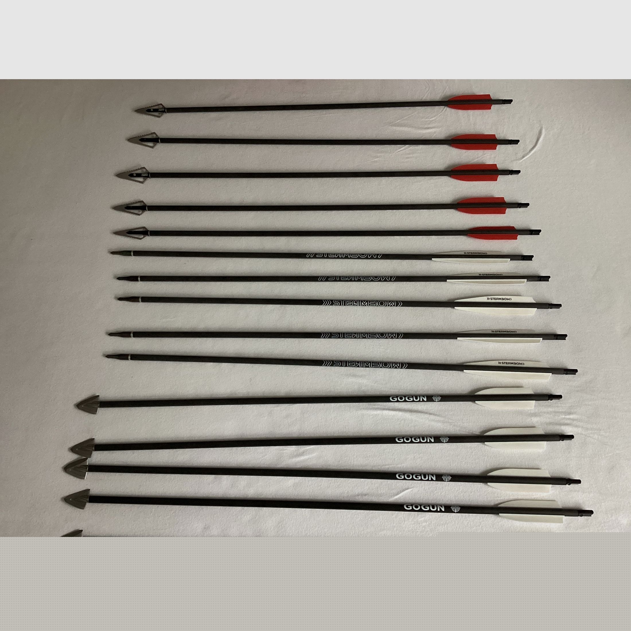 Steambow Fenris Magazine avec accessoires