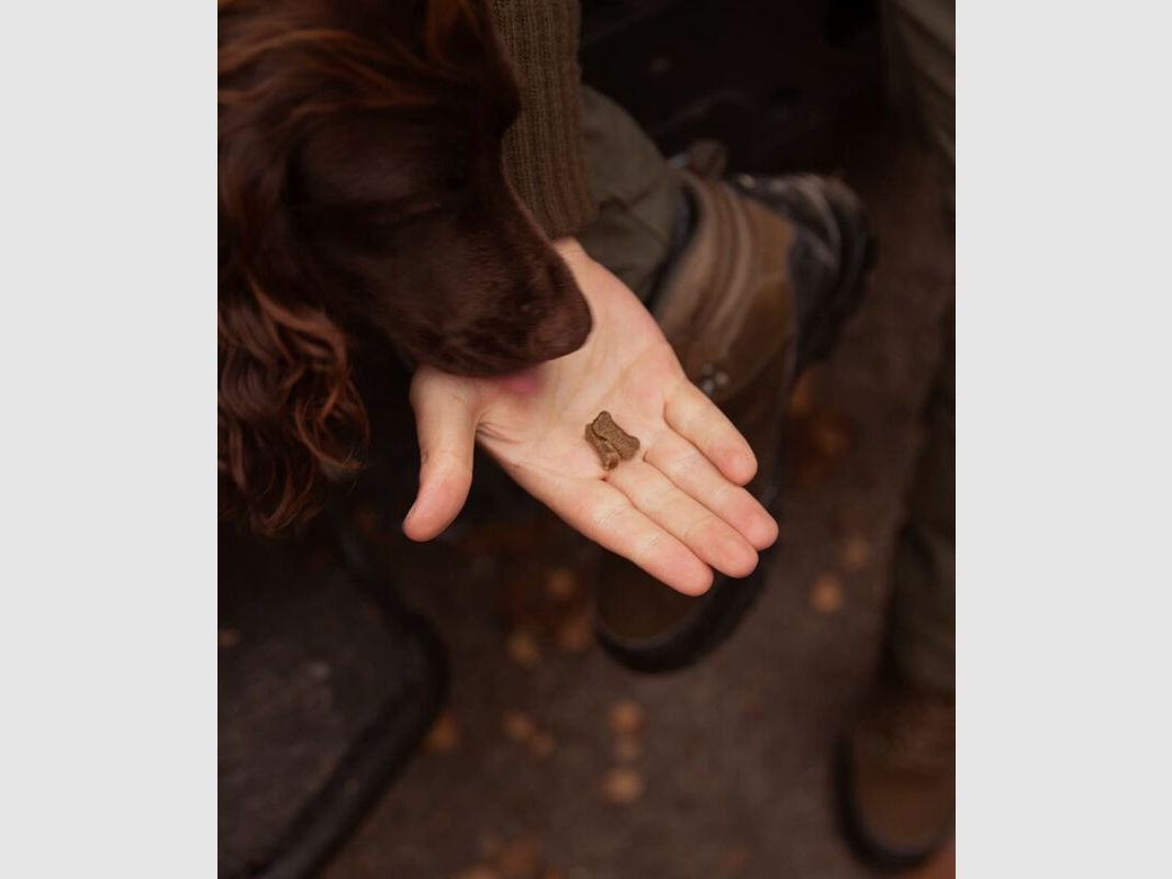 Essential Foods Essential Mini Snacks Lachs 100 g