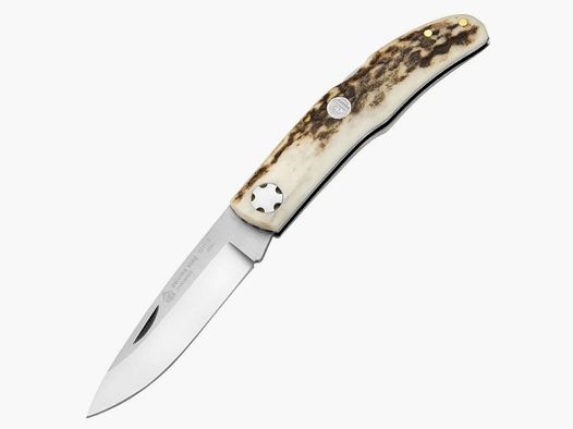 PUMA IP paloma stag