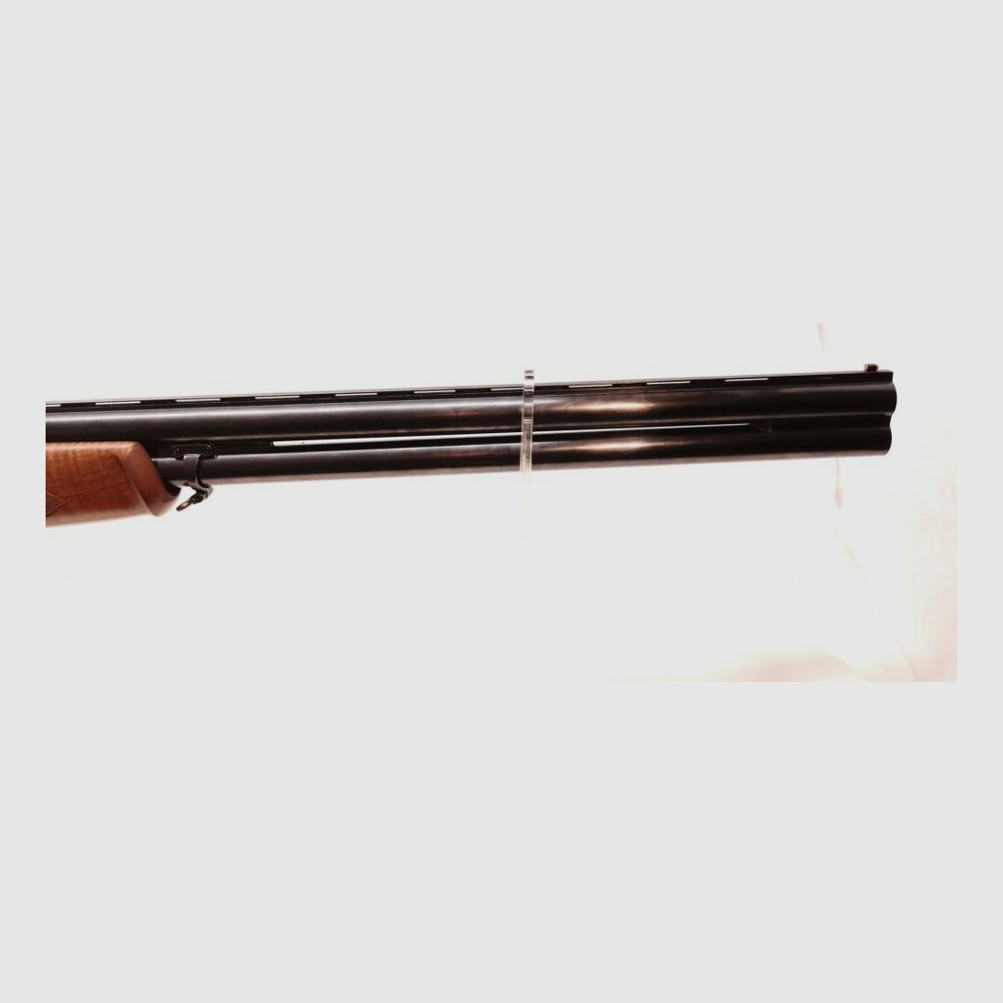 Franchi Alcione (AL)