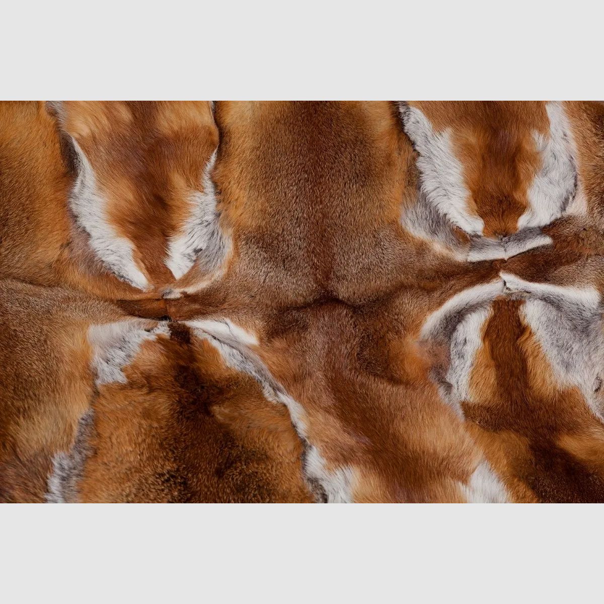 Hofstetter Red Fox Cavalli Blanket