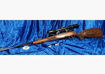 Steyr SL Jachtwedstrijd
