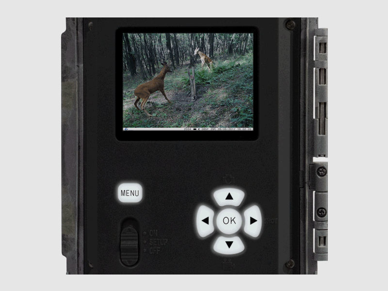 Wildkamera 4G-Set «Die Schnellste», Bild 2 von 32