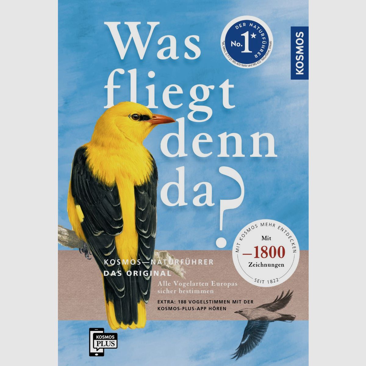 Cosmos What is flying there? Barthel