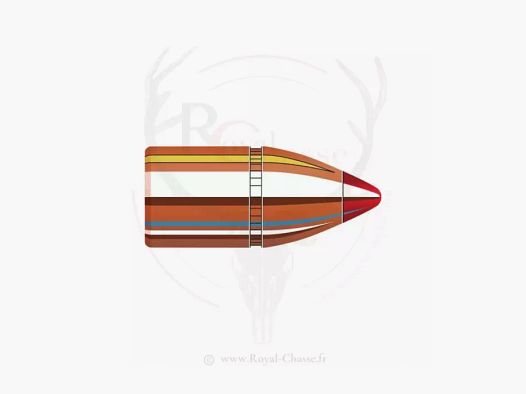 50 ogives Cal.45 D.458 325Grs FTX HORNADY