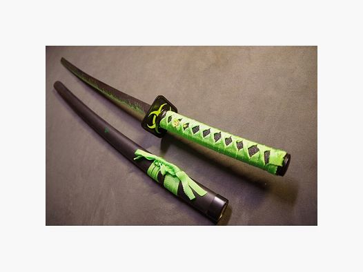 Letztes Exemplar : Zombie Biohazzard Katana mit Symbol und Holzscheide
