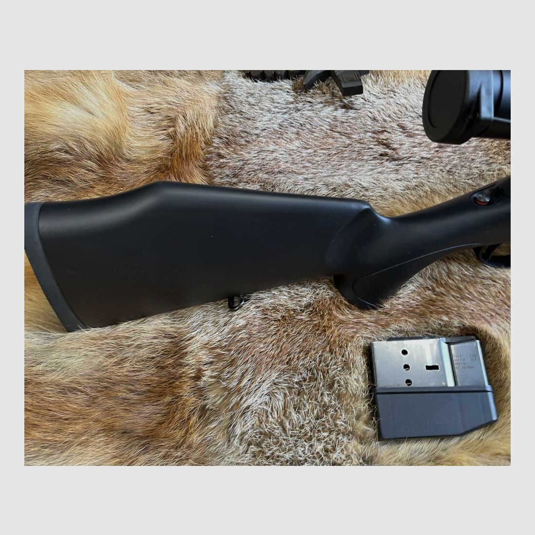 Sauer 202