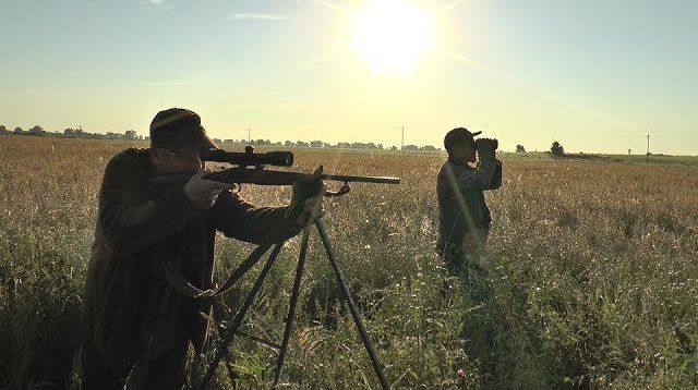 Erstklassige Bockjagd zur Blattzeit in Masuren - Ermland - First class roe deer hunt at rut season!