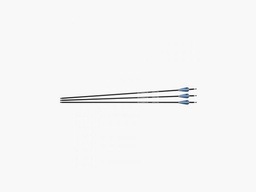 FLECHES MELANGE DE CARBONE NXG 30'', SPINE 700, PACK DE 3