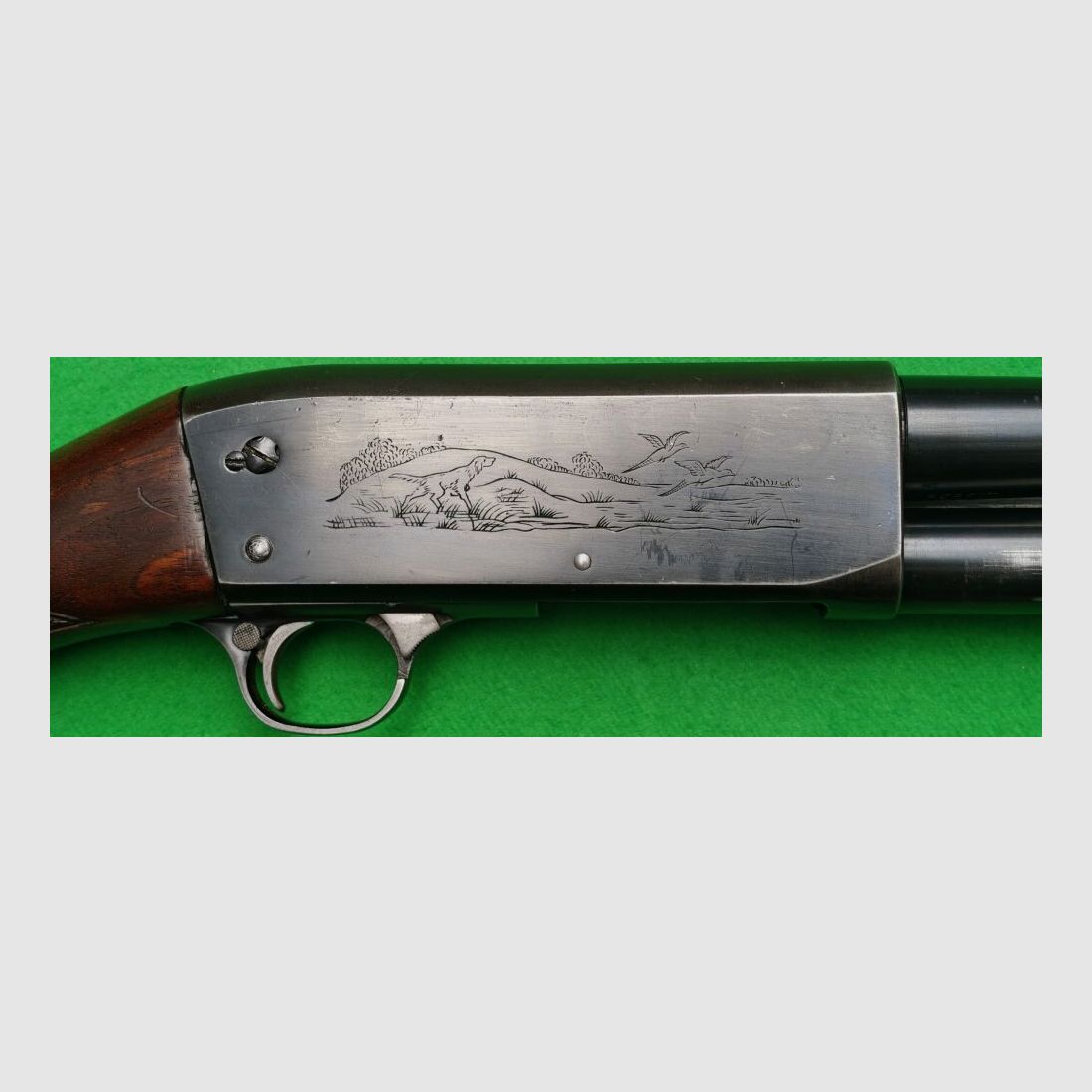 Ithaca 37