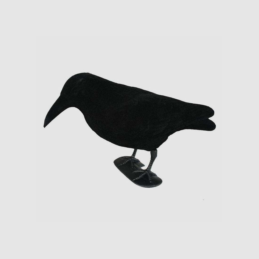Lockkrähe beflockt