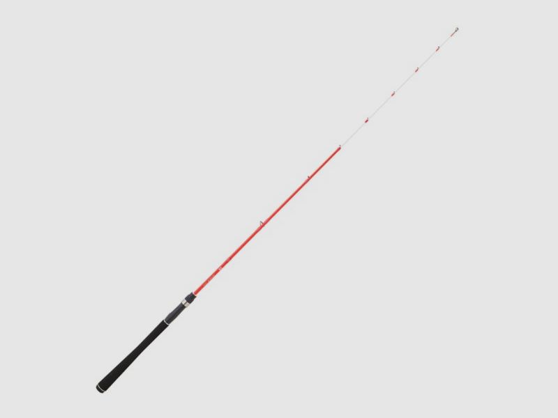 DAIWA SENSOR PALANGROTTE 2,10M, imagen 1 de 2