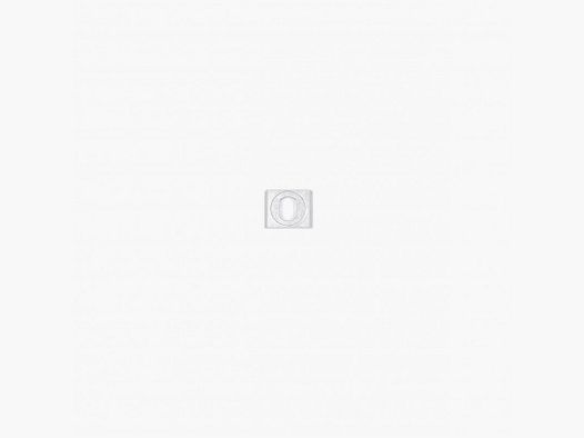 EAW SCHWENKMONTAGE VORDERPLATTE FÜR REPETIERER BH 5,8 MM