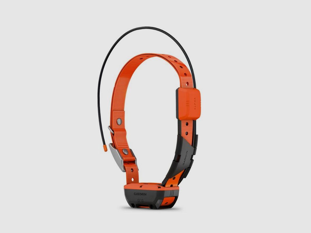 Garmin T20 K Collare per cani, immagine 4 di 10