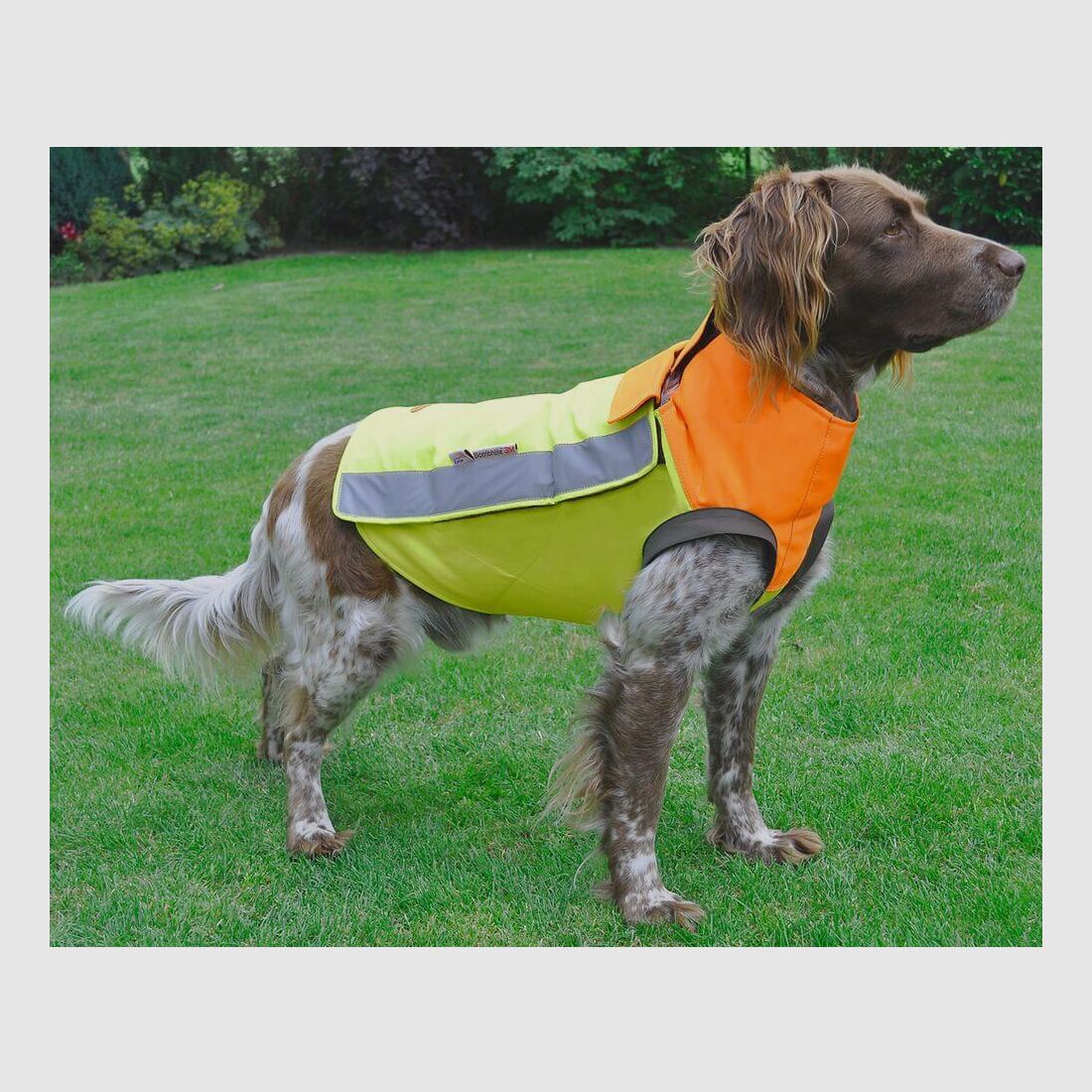 Hubertus dog protection vest Kevlar