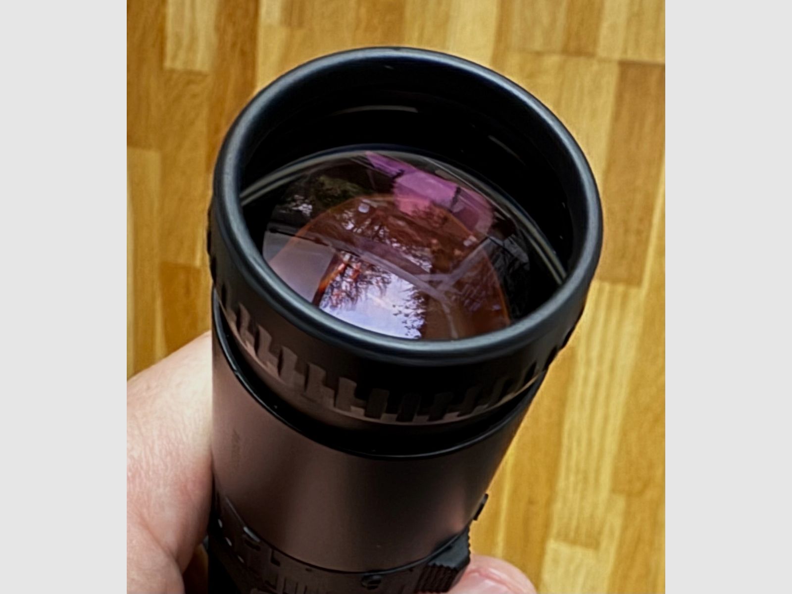 ZEISS Victory Diavari 3-12x56 T* con reticolo luminoso digitale 66