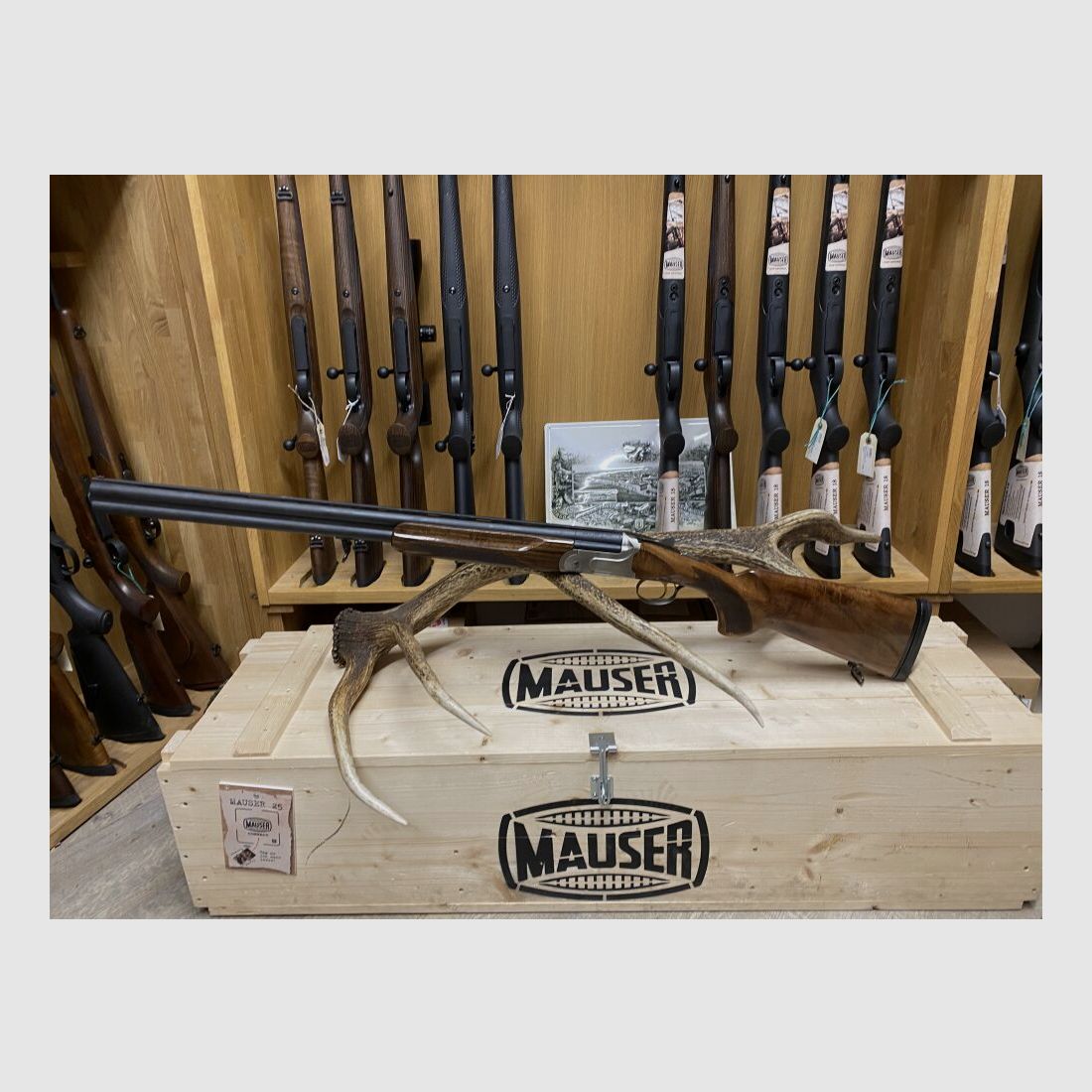 Akkar Churchill 206E, 71cm