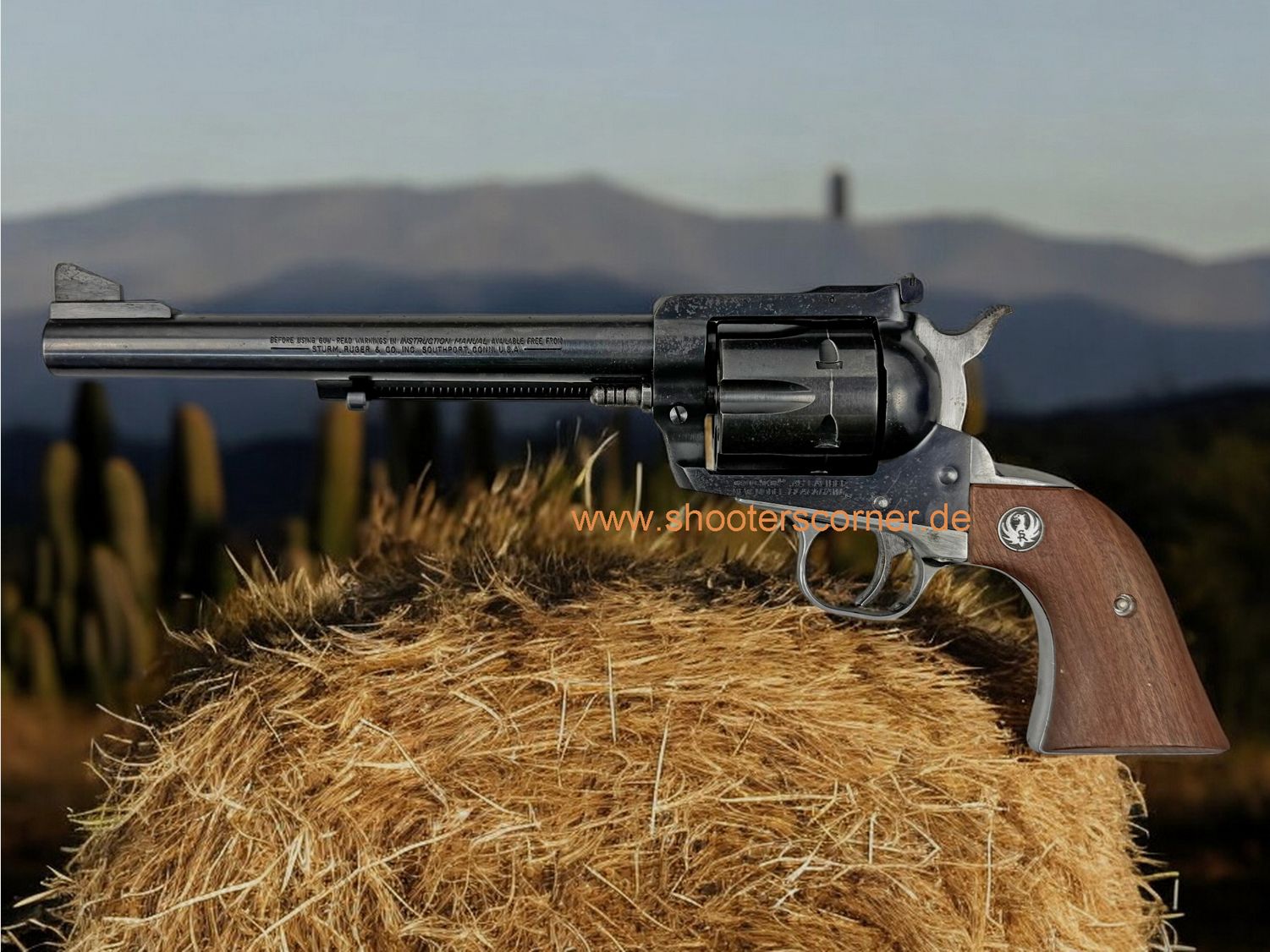 Ruger Blackhawk caliber .45 Colt