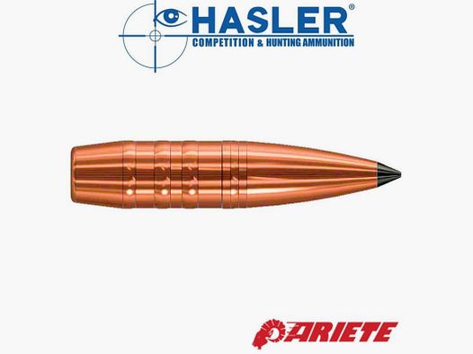 HASLER MONOLITISCHE GESCHOSSE 6,5 GR108