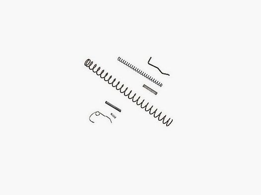 Springs Service Kit Kahr K9