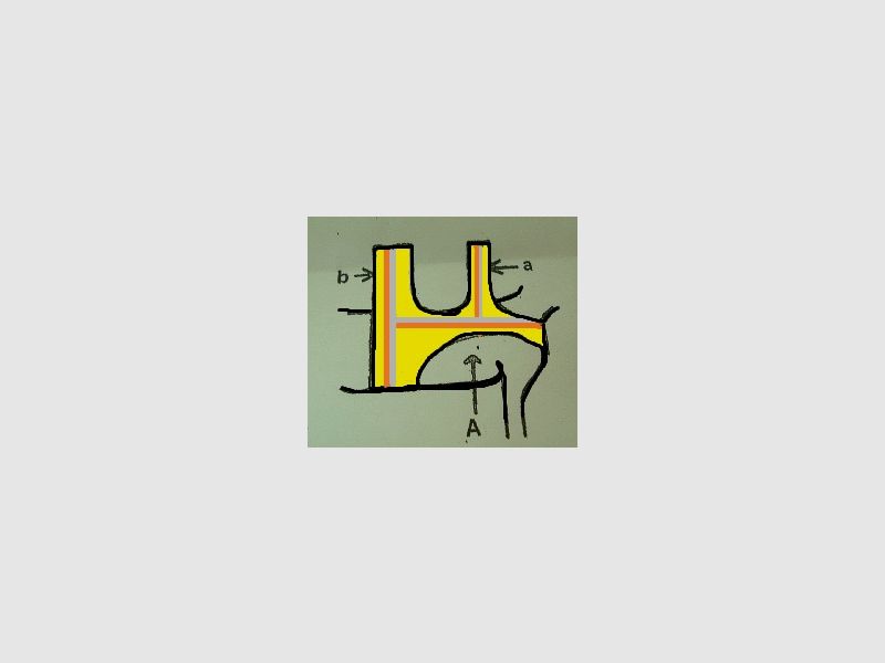 Hundesignalweste Gr. 2 - Halsweite: 50 - 70 cm