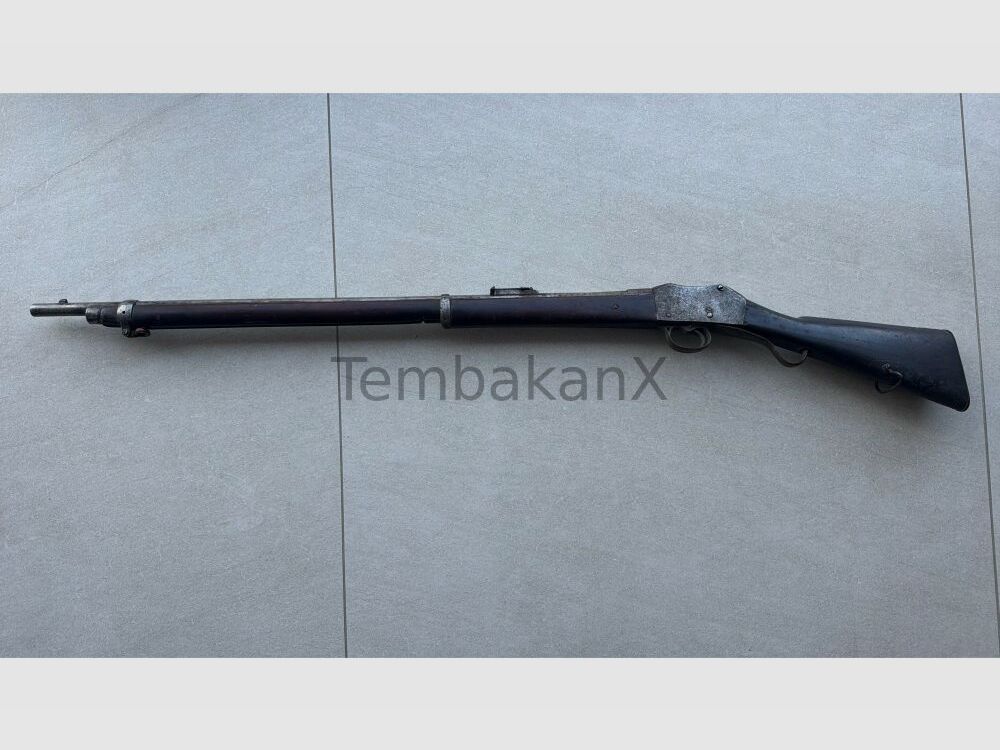 Enfield Bj. 1875 (vermutlich) .445SuperMag